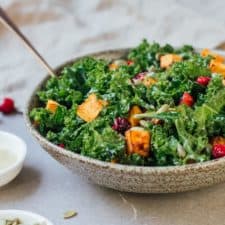 Kale salad with roasted sweet potato and cranberries