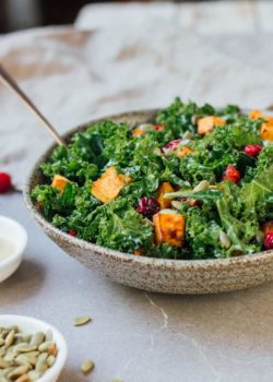 Kale salad with roasted sweet potato and cranberries