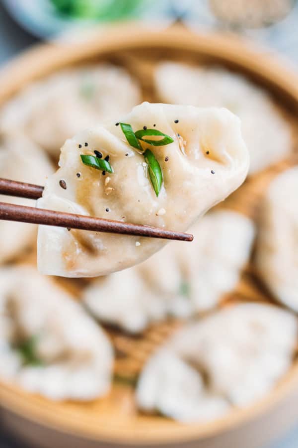 vegetable steamed dumplings