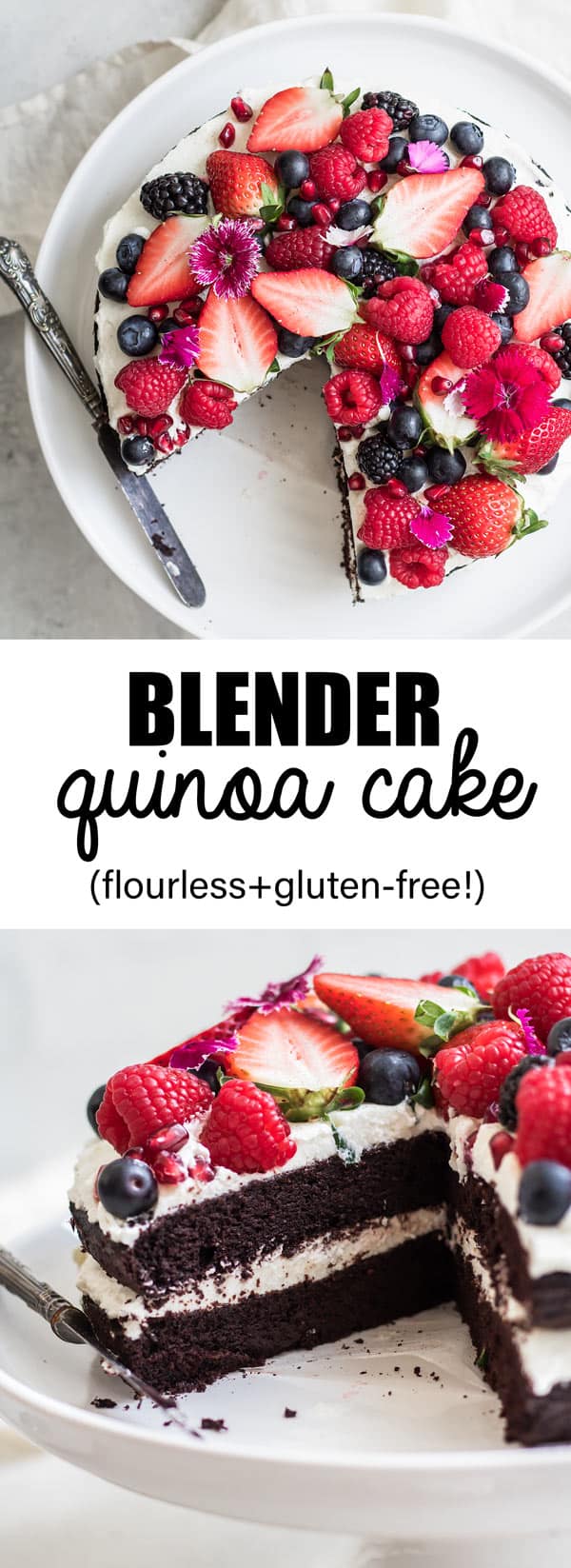 This blender chocolate quinoa cake is a delicious gluten-free cake that is made completely in your blender!