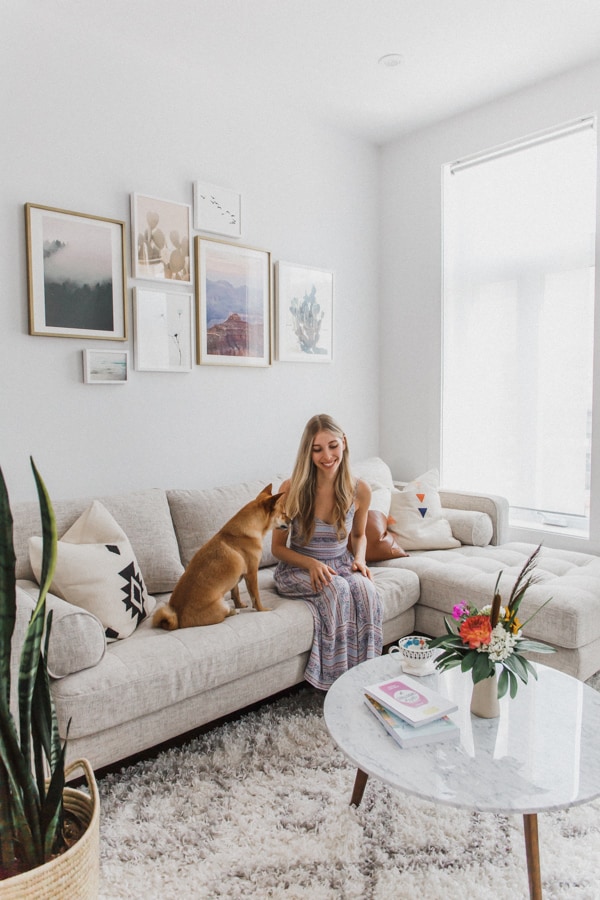 cozy grey living room