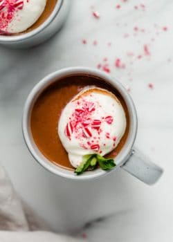 vegan peppermint hot chocolate