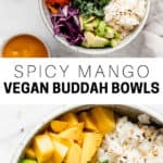 vegan buddha bowls