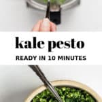 kale pesto in a food processor