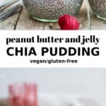 two jars layered with chia pudding, jam, and peanut butter