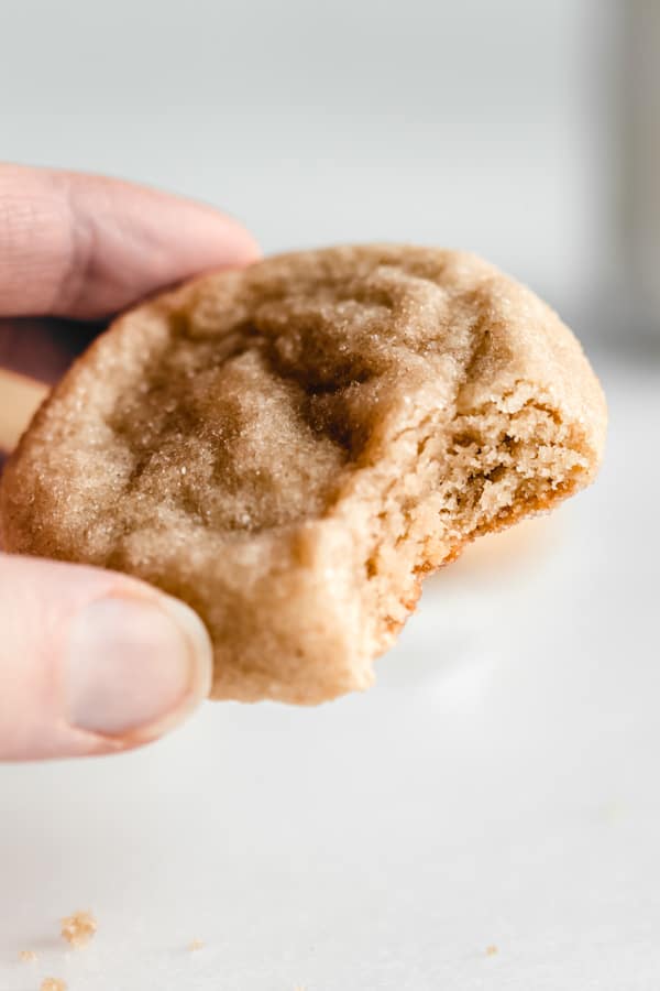 a hand holding a snickerdoodle cookie
