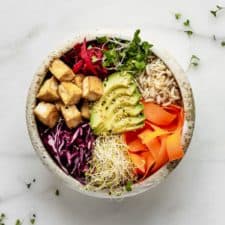 Dragon Bowls