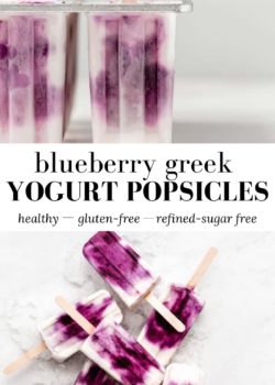 Blueberry Greek Yogurt Popsicles