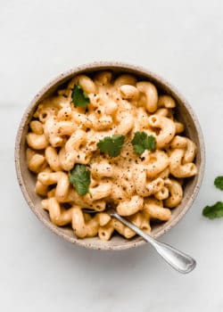 A top down view of a bowl of vegan mac and cheese noodles in a creamy sauce
