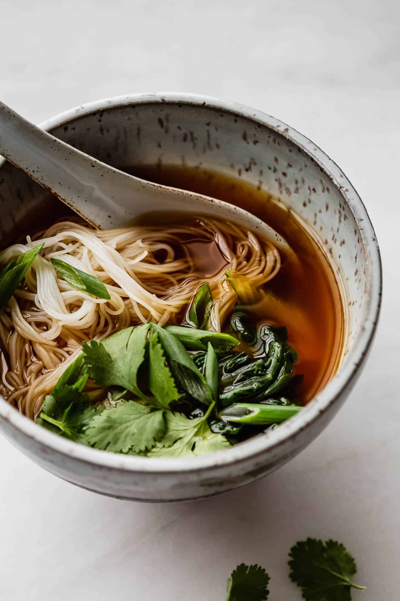 Vegan Pho Broth / Soup Recipe - Choosing Chia
