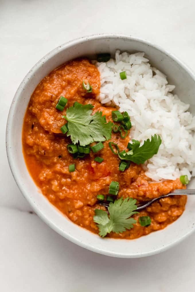 Red lentil curry in a white bowl topped with cilantro