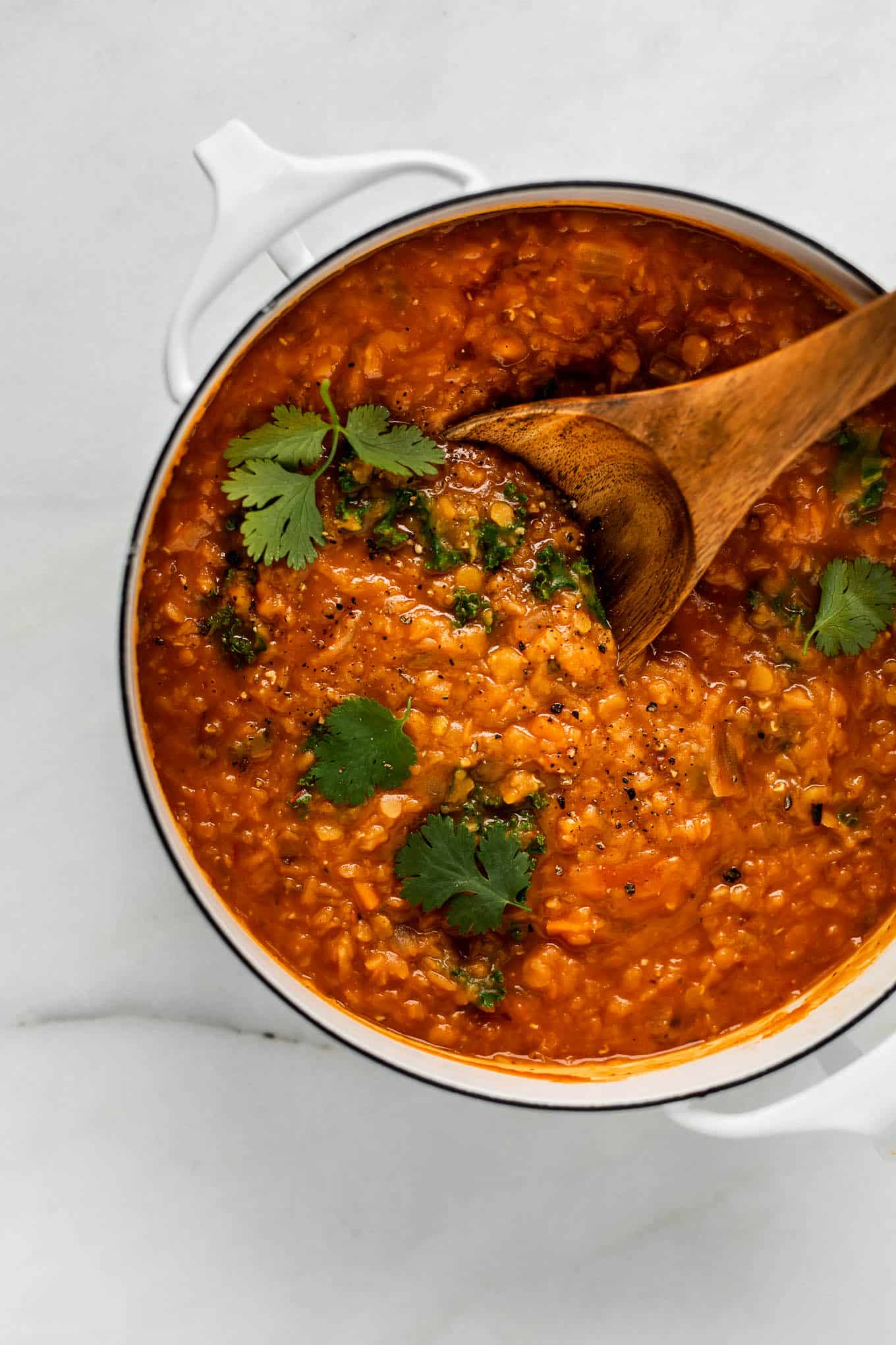 Red Lentils Curry Recipe (SO Simple SO Delicious) - Choosing Chia
