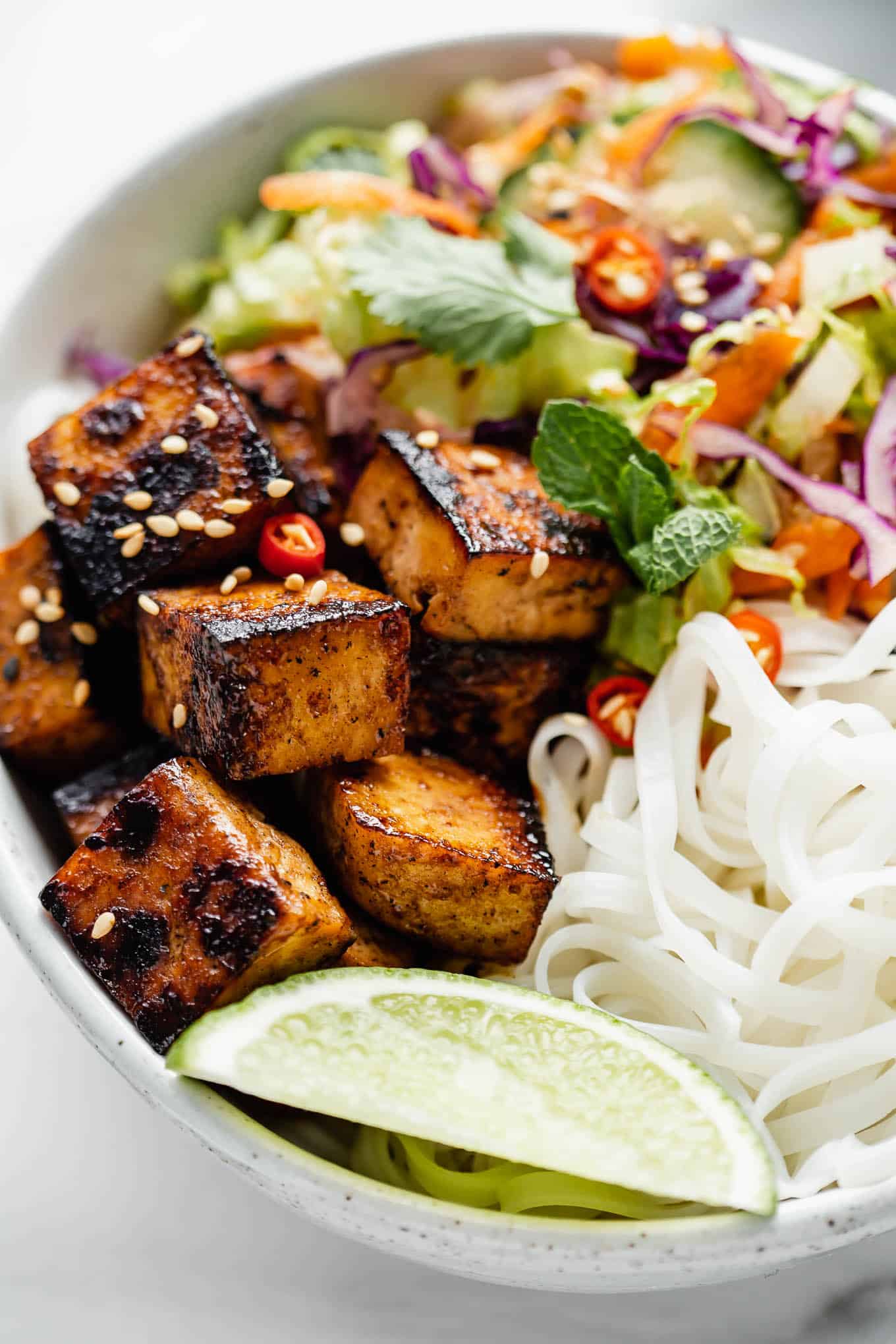 Vietnamese Noodle Bowls - Choosing Chia
