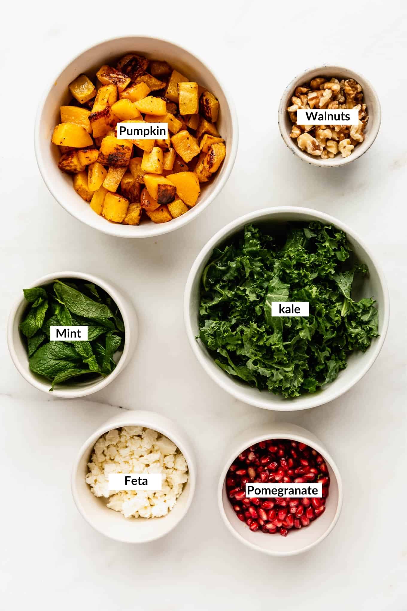 A flat lay of ingredients to make roasted pumpkin salad