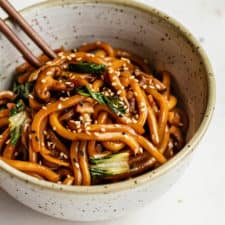 udon noodle recipe