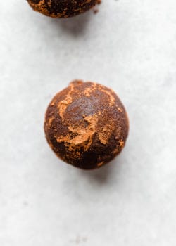 a gingerbread truffle topped with cocoa