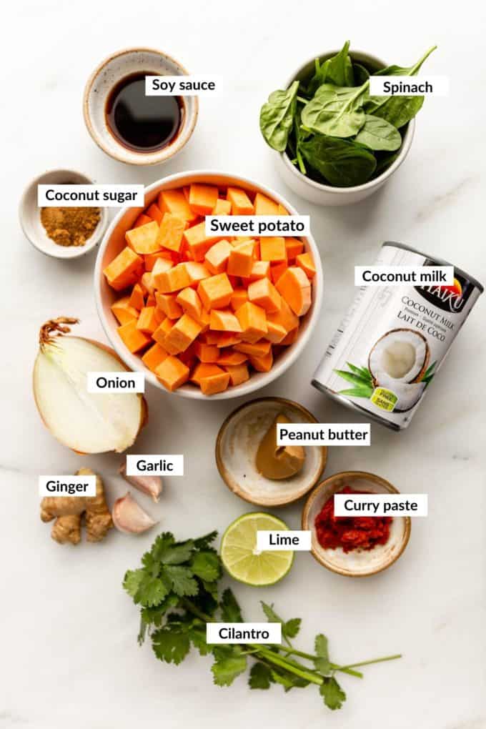 ingredients to make sweet potato curry