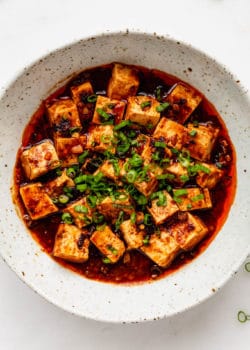 mapo tofu in a white speckled bowl topped with scallions