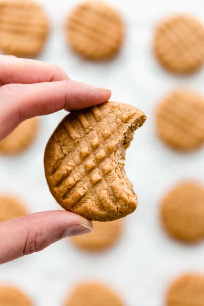 a hand holding a peanut butter cookie