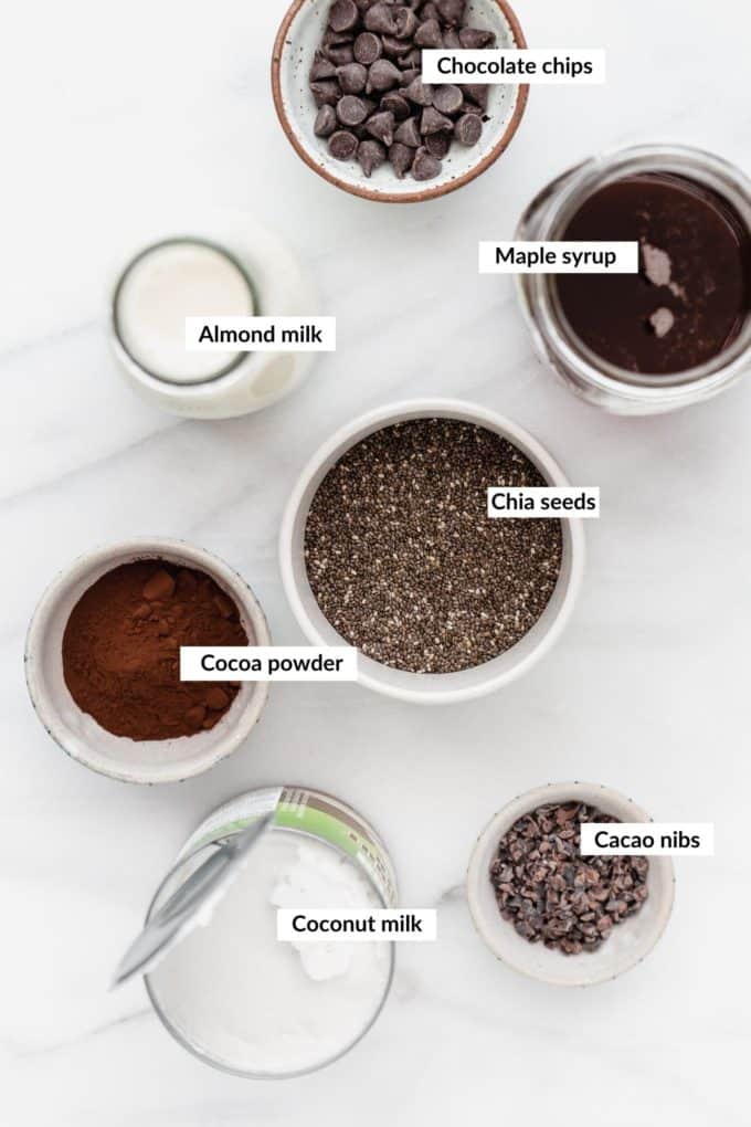 ingredients to make chocolate chia pudding