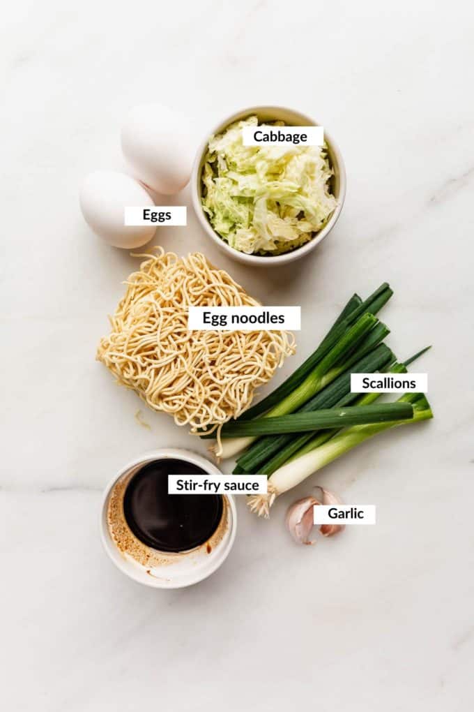 Ingredients to make mie goreng