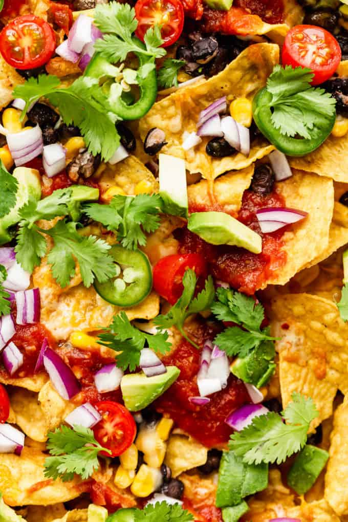 A close up of nachos topped with salsa, tomato, onion and cilantro