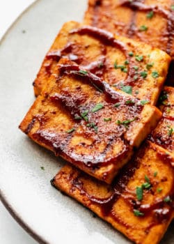a close up of a piece of barbecue tofu