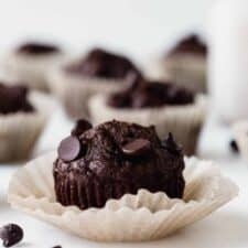 Healthy Chocolate Zucchini Muffins