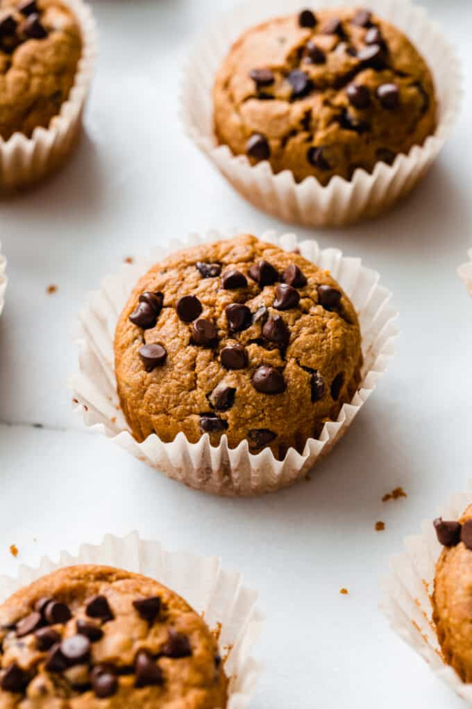 pumpkin muffins topped with chocolate chips