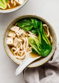 A bowl of udon noodle soup with bok choy and tofu