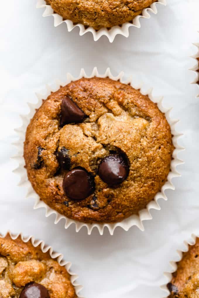 a banana oat flour muffin topped with chocolate chips