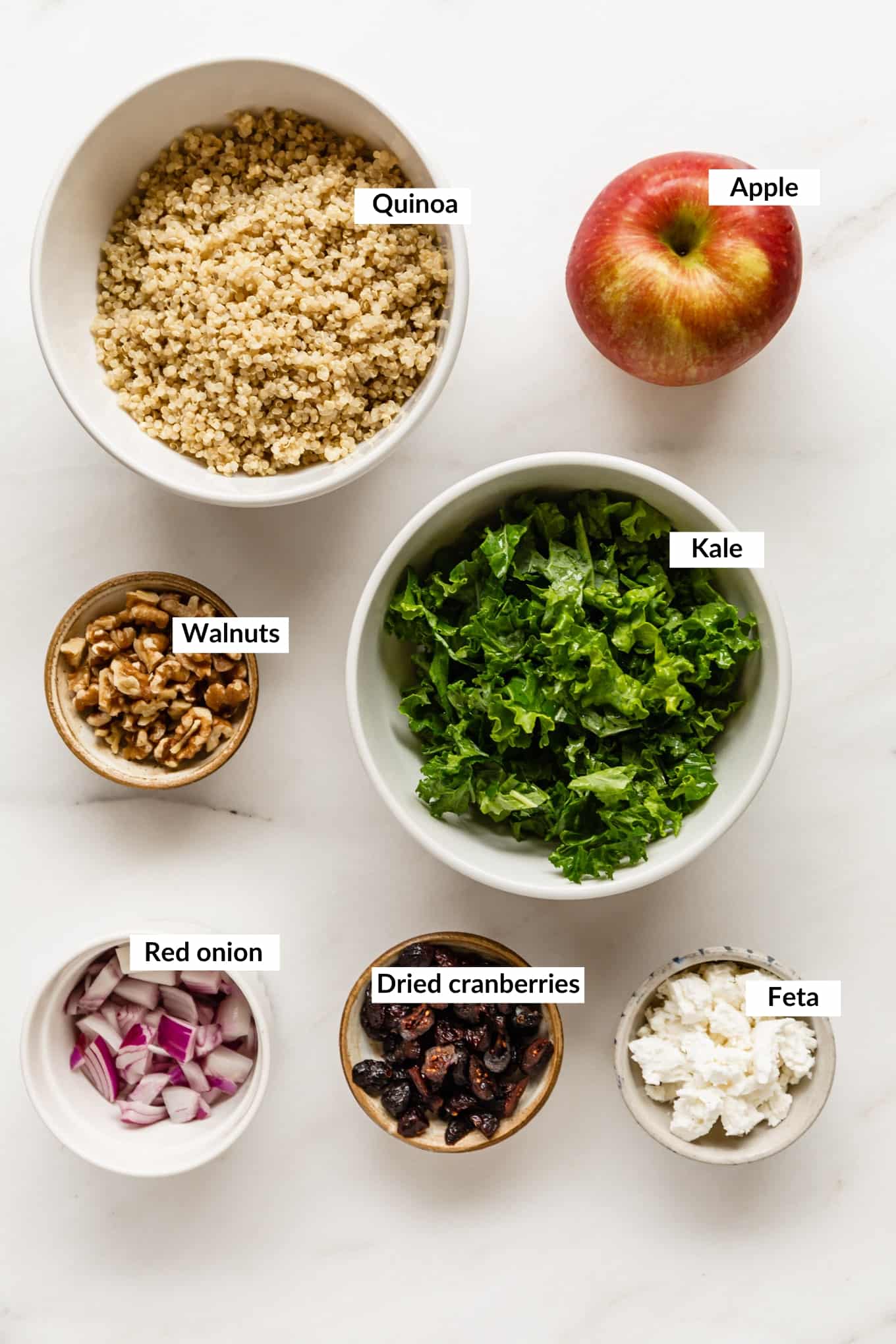 ingredients for apple cranberry quinoa salad.