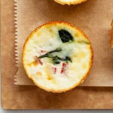 Starbucks Copycat Egg White Bites