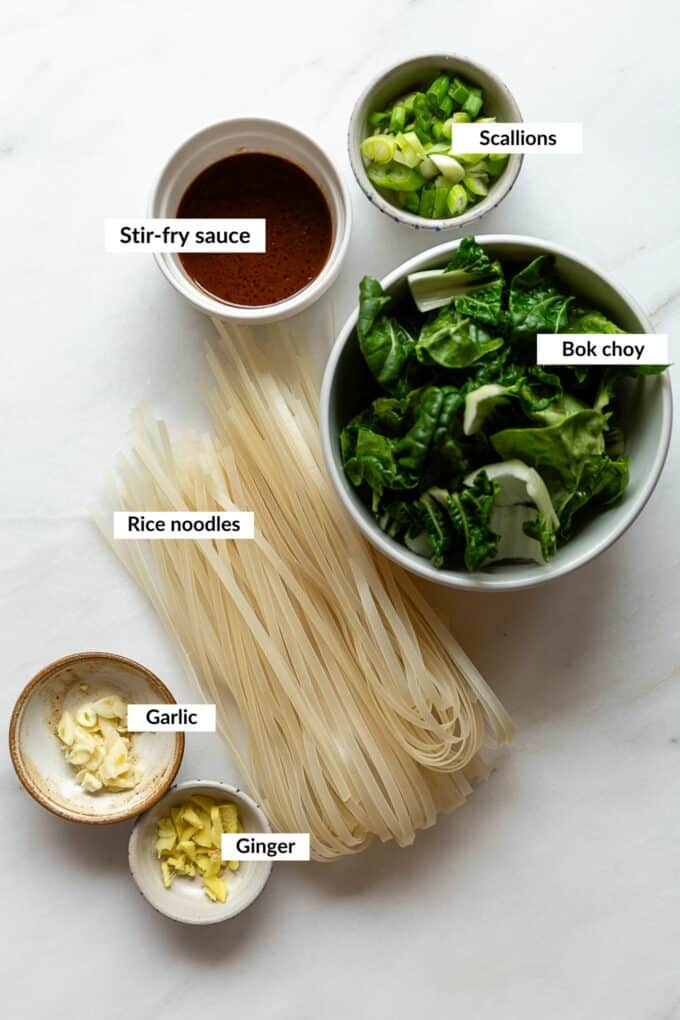 Ingredients to make miso noodles