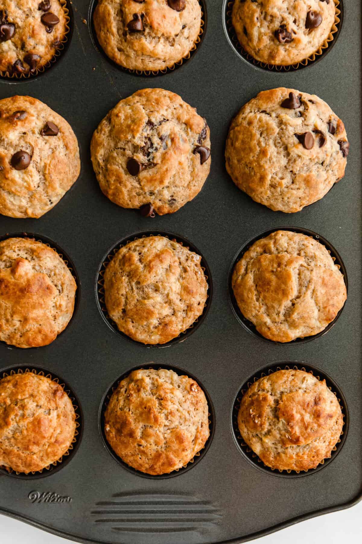 cottage cheese banana muffins in a muffin pan.