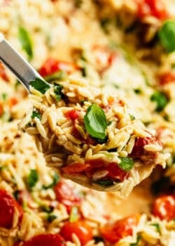 Fork lifting a bite of baked feta tomato orzo topped with fresh basil.