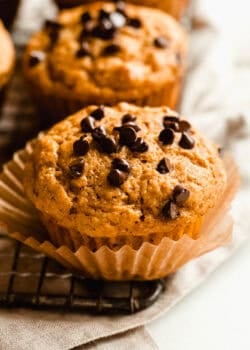 Close-up of a cottage cheese pumpkin chocolate chip muffin in a paper liner on a wire cooling rack.