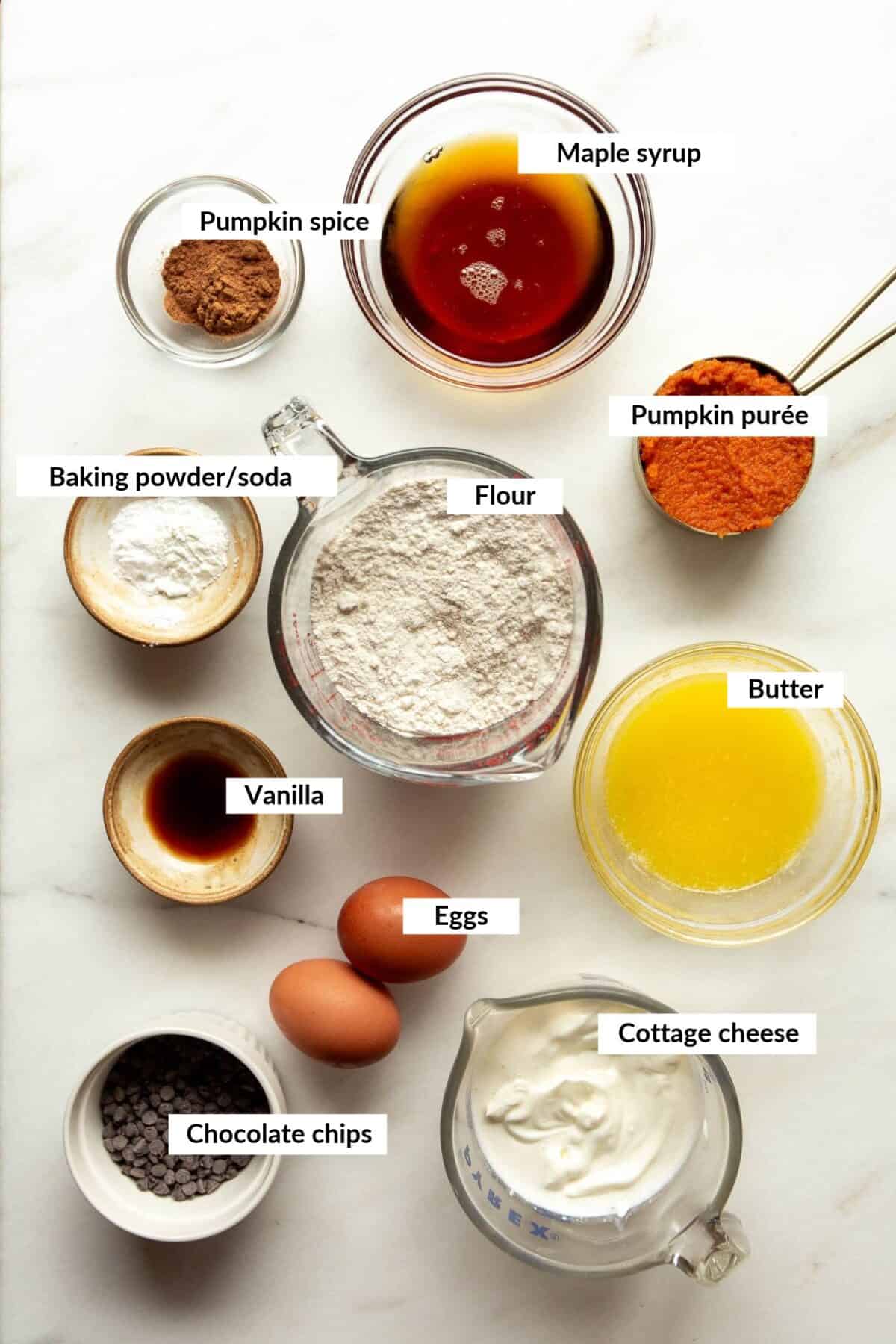 Ingredients for cottage cheese pumpkin muffins.
