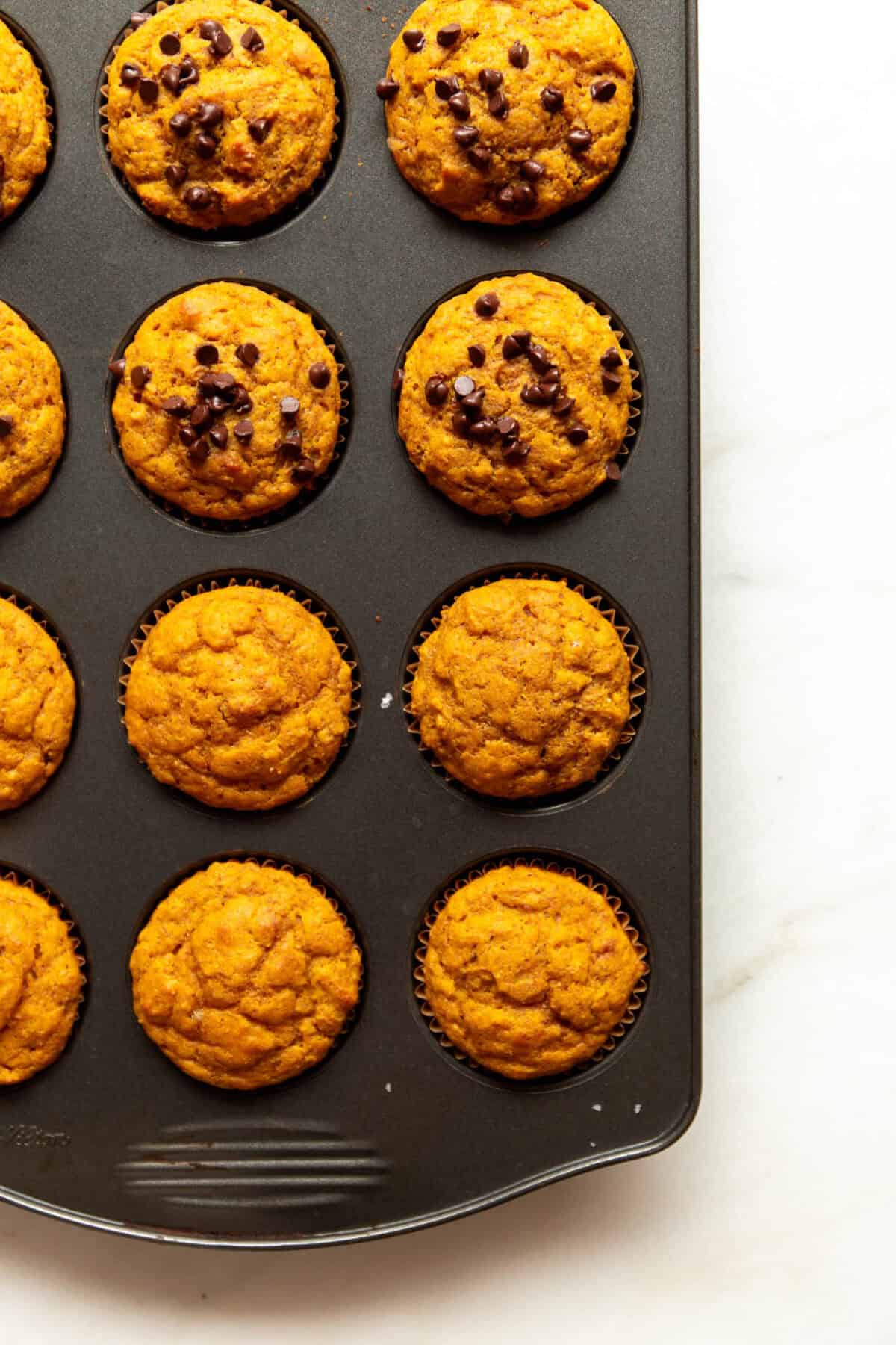 Baked cottage cheese pumpkin chocolate chip muffins in a muffin tin, golden brown.