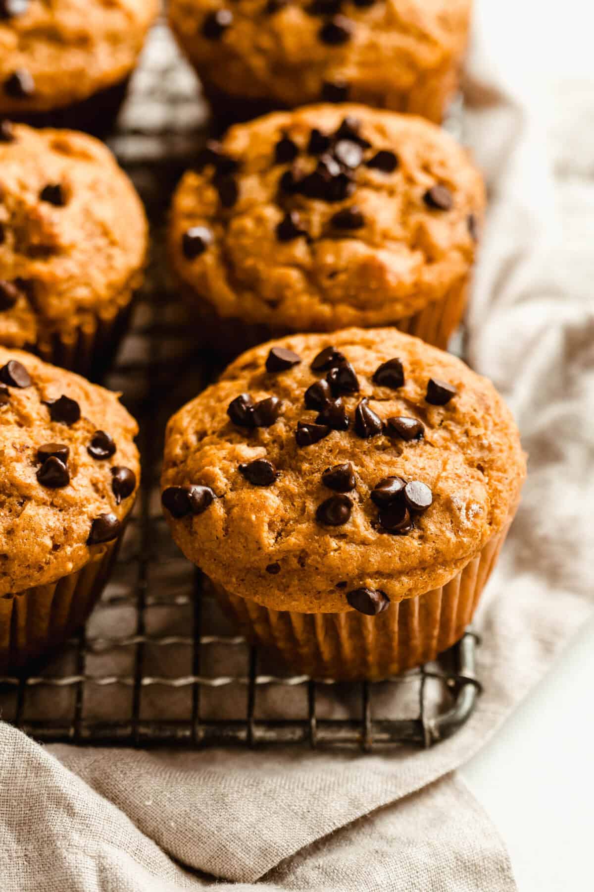 Close-up of cottage cheese pumpkin chocolate chip muffins cooling on a wire rack.